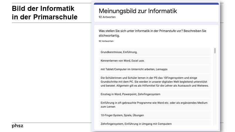 Bild der Informatikin der Primarschule